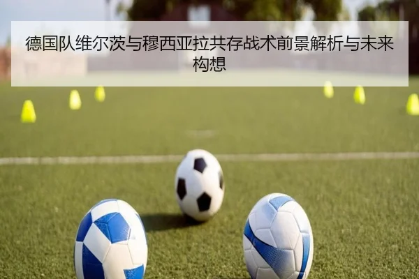 德国队维尔茨与穆西亚拉共存战术前景解析与未来构想